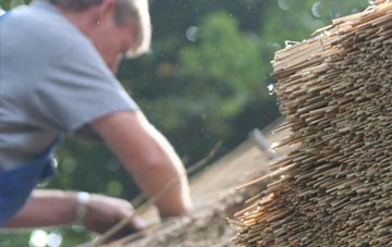 professional Roag thatchers