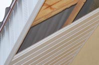 rated Roag soffit repair companies